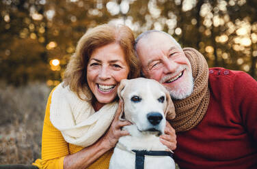 A happy senior couple with a dog on a walk in an autumn nature at sunset. - HPIF27375