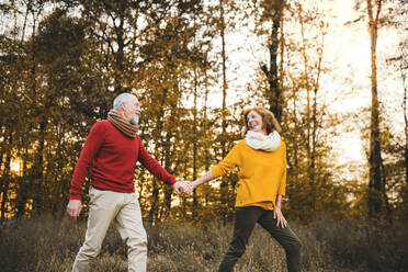 Ein fröhliches älteres Paar bei einem Spaziergang in der herbstlichen Natur bei Sonnenuntergang, das sich an den Händen hält. - HPIF27386