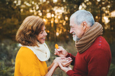 A cheerful senior couple in love standing in an autumn nature at sunset, looking at each other. - HPIF27392