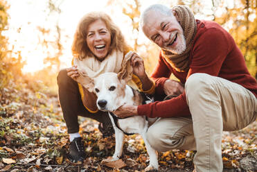 A happy senior couple with a dog on a walk in an autumn nature at sunset, having fun. - HPIF27395