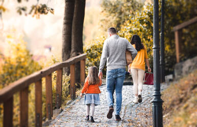 Rückansicht einer jungen Familie mit zwei Kindern, die im Herbst im Park spazieren geht. - HPIF27399