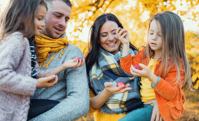 Ein Porträt einer glücklichen jungen Familie mit zwei kleinen Kindern, die Nüsse und Äpfel in der herbstlichen Natur halten. - HPIF27404
