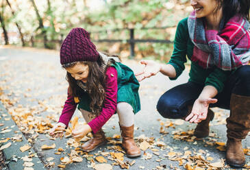 An unrecognizable young mother with a toddler daughter gathering leaves in forest in autumn nature. - HPIF27427