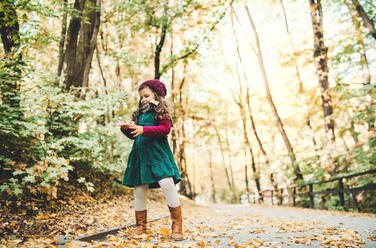 A portrait of a small toddler girl standing in forest in autumn nature, holding a twig. Copy space. - HPIF27428