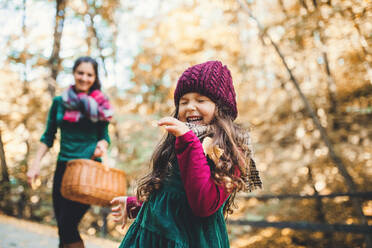 A portrait of toddler girl with mother in forest in autumn nature, having fun. - HPIF27429