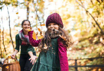 A portrait of toddler girl with mother in forest in autumn nature, having fun. - HPIF27431