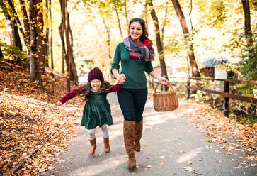A portrait of young mother with a basket and a toddler daughter running in forest in autumn nature, holding hands. - HPIF27433