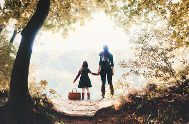 Rückansicht einer Mutter mit ihrer kleinen Tochter, die im Wald in der herbstlichen Natur steht und sich an den Händen hält. - HPIF27440