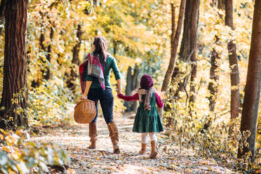 Rückansicht einer Mutter mit ihrer kleinen Tochter, die in der herbstlichen Natur im Wald spazieren geht und die Hände hält. - HPIF27442