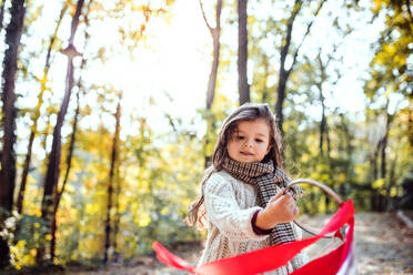 Ein Porträt eines kleinen Kleinkindes Mädchen im Wald im Herbst Natur, spielen mit Band Drachen. - HPIF27458