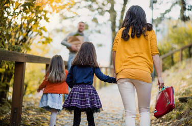 Rückansicht einer jungen Familie mit zwei Kindern, die im Herbst im Park spazieren geht. - HPIF27463