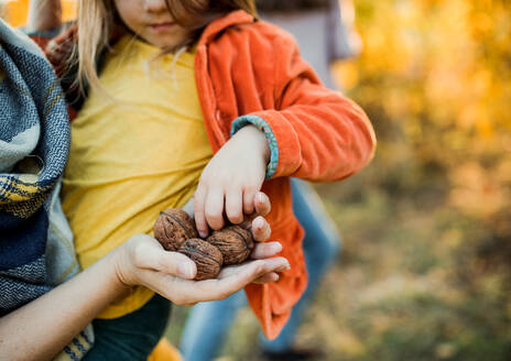 Ein Mittelstück von Mutter und kleiner Tochter in herbstlicher Natur, Nüsse haltend. - HPIF27489