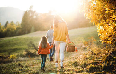 Eine Rückansicht einer jungen Familie mit Kleinkind und auf einem Spaziergang in der herbstlichen Natur. - HPIF27492
