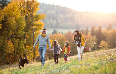 Eine junge Familie mit zwei kleinen Kindern und einem schwarzen Hund bei einem Spaziergang in der herbstlichen Natur. - HPIF27519