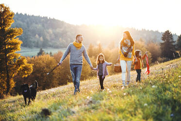 Eine junge Familie mit zwei kleinen Kindern und einem schwarzen Hund auf einem Spaziergang auf einer Wiese bei Sonnenuntergang. - HPIF27521