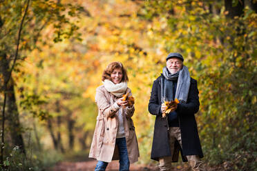 Älteres Paar auf einem Spaziergang in einem Wald in einer herbstlichen Natur, mit gelben Blättern in der Hand. - HPIF27551