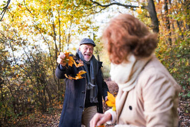 Älteres Paar auf einem Spaziergang in einem Wald in einer herbstlichen Natur, mit gelben Blättern in der Hand. - HPIF27554