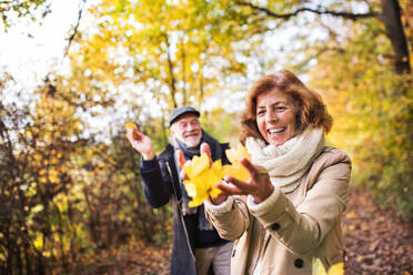Älteres Paar auf einem Spaziergang in einem Wald in einer herbstlichen Natur, mit gelben Blättern in der Hand. - HPIF27555
