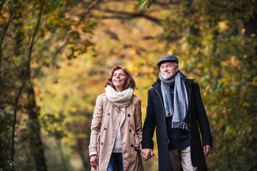 Ein aktives älteres Ehepaar, das in der herbstlichen Natur in einem Wald spazieren geht und sich an den Händen hält. - HPIF27557