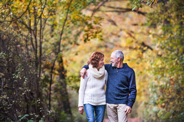 A portrait of an active senior couple walking in an autumn nature. Copy space. - HPIF27558