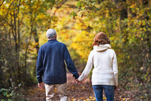 Rückansicht eines aktiven älteren Paares, das in der herbstlichen Natur spazieren geht und sich an den Händen hält. - HPIF27567