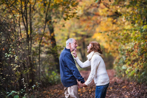 Älteres Paar, das sich in herbstlicher Natur anschaut, die Hände hält und Spaß hat. - HPIF27569