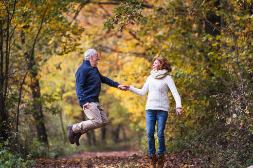 Älteres Paar, das sich in der herbstlichen Natur anschaut, die Hände hält und springt. - HPIF27570