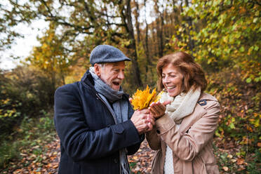 Älteres Paar auf einem Spaziergang in einem Wald in einer herbstlichen Natur, mit gelben Blättern in der Hand. - HPIF27574