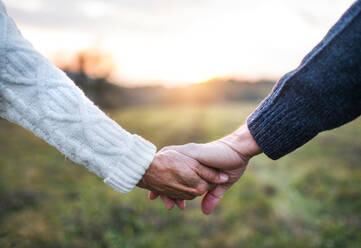 Eine Nahaufnahme des Händchenhaltens eines nicht erkennbaren älteren Paares in einer herbstlichen Natur bei Sonnenuntergang. - HPIF27593