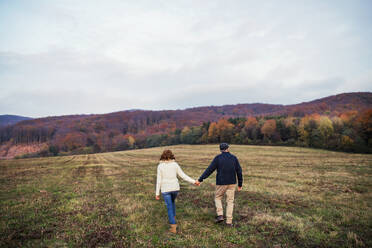 Älteres Paar, das auf einer Wiese in herbstlicher Natur spazieren geht und sich an den Händen hält; Rückansicht eines Mannes und einer Frau bei einem Spaziergang. - HPIF27601