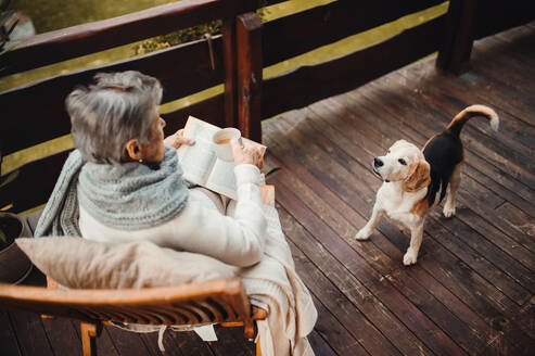 A top view of an elderly woman with a book, dog and cup of coffee sitting outdoors on a terrace on a sunny day in autumn, reading. - HPIF27620