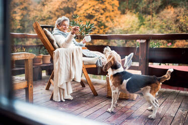 Eine ältere Frau mit einer Tasse Kaffee sitzt an einem sonnigen Herbsttag auf einer Terrasse und spielt mit einem Hund. - HPIF27626