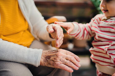 A midsection of elderly woman with a toddler great-grandchild sitting outdoors on a terrace on a sunny day in autumn. - HPIF27642