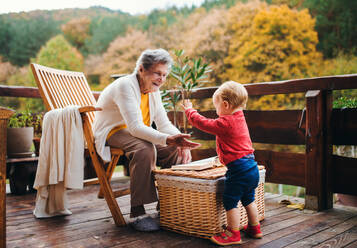 Eine ältere Frau mit einem kleinen Urenkelkind auf einer Terrasse an einem sonnigen Herbsttag. - HPIF27646