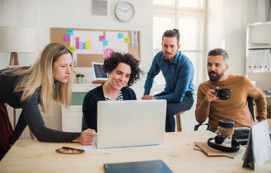 Eine Gruppe junger, konzentrierter männlicher und weiblicher Geschäftsleute mit Laptop trifft sich in einem modernen Büro. - HPIF27835
