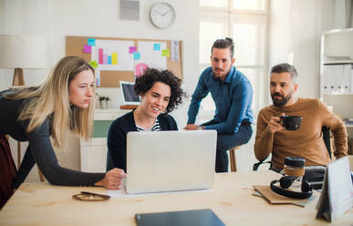 Group of young concentrated male and female businesspeople with laptop having meeting in a modern office. - HPIF27835