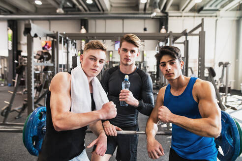 Young male friends in modern crossfit gym, standing and showing muscles. - HPIF27968