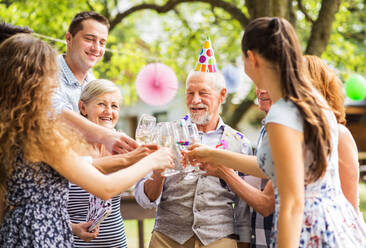 Familienfeier im Hinterhof, große Gartenparty, Geburtstagsfeier. - HPIF28049