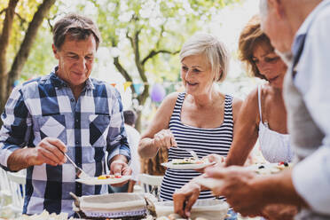 Familienfest im Hinterhof, große Gartenparty. - HPIF28061