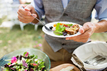 Unbekannter Mann mit einem Teller mit Essen. Familienfeier draußen im Garten. Große Gartenparty. - HPIF28064