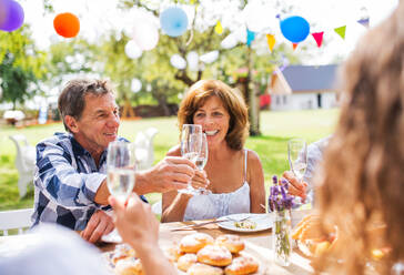 Family celebration outside in the backyard. Big garden party. - HPIF28074