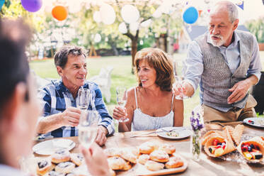 Family celebration outside in the backyard. Big garden party. - HPIF28075