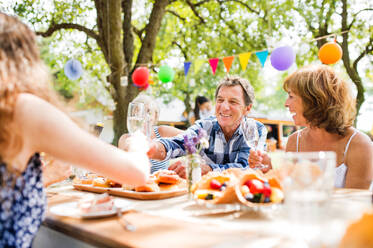 Family celebration outside in the backyard. Big garden party. - HPIF28076