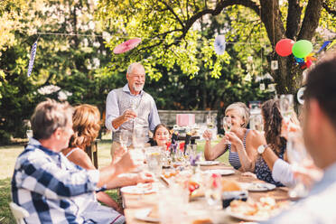 Family celebration outside in the backyard. Big garden party. - HPIF28079