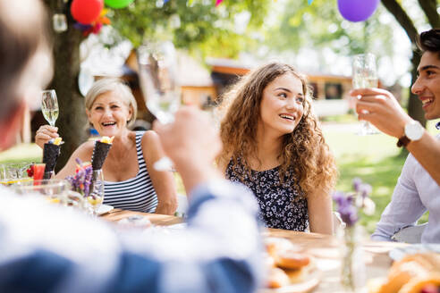 Familienfest im Hinterhof, große Gartenparty. - HPIF28081