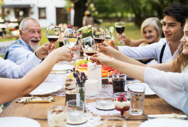 Garden party or family celebration outside in the backyard. People sitting around the table, clinking glasses. - HPIF28121