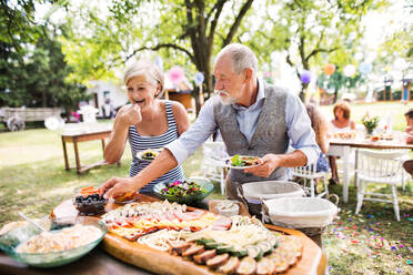 Familienfest im Hinterhof, große Gartenparty. - HPIF28196