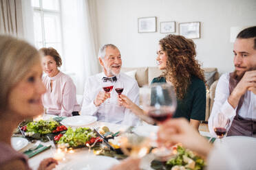 A big family sitting at a table on a indoor birthday party, clinking glasses with red wine. - HPIF28292