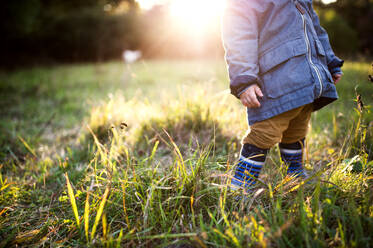 An unrecognizable little toddler boy standing outdoors on a meadow at sunset. Copy space. - HPIF28350