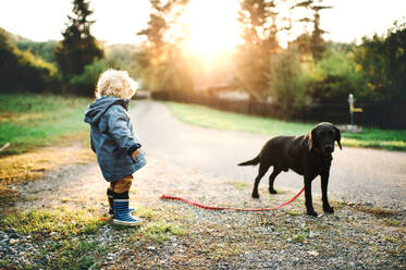 Ein kleiner Junge und ein Hund stehen im Freien auf einer Straße bei Sonnenuntergang. - HPIF28354